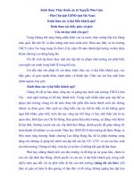 Bài giảng Bài phát biểu của thày giáo