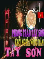 Bài giảng Phong_trao_nong_dan_Tay_son 4