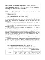 PHÂN TÍCH TÌNH HÌNH THỰC HIỆN XẾP HẠNG TÍN NHIỆM DOANH NGHIỆP CỦA CÁC NGÂN HÀNG THƯƠNG MẠI TẠI THÀNH PHỐ HỒ CHÍ MINH