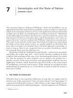 Genealogies and the State of Nature