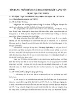 TÍN DỤNG NGÂN HÀNG VÀ HOẠT ĐỘNG XẾP HẠNG TÍN DỤNG TẠI CÁC NHTM