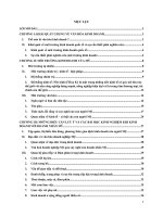 Văn hóa kinh doanh và các bài học kinh nghiệm cho các doanh nhân Việt Nam khi kinh doanh với Mỹ