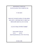 Luận văn khảo sát tập đoàn giống cây hoa hồng(rosa SPP l ) mới nhập nội và chọn tạo trong điều kiện gia lâm hà nội 