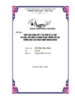 SKKN - xếp loại B Thành phố - 2003-2004