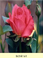 Tài liệu bài 25 tiết 1 Kháng chiến lan rộng toàn quốc