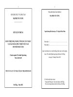 Hoàn thiện hoạt động tín dụng xuất khẩu tại ngân hàng phát triển việt nam chi nhánh đà nẵng 