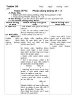 Gián án GA lớp 1 Tuần 20- CKT,KNS