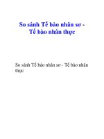 So sánh Tế bào nhân sơ Tế bào nhân thực