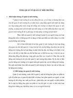 TỔNG QUAN VỀ QUẢN LÝ MÔI TRƯỜNG
