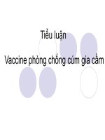 Tiểu luận: Vaccine phòng chống cúm gia cầm