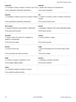 3420 toeic vocabulary words - Past 6
