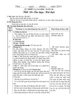 Bài giảng giao an tuan 20 +KNS