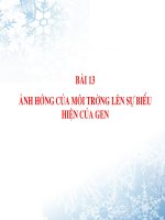 Tài liệu Bài 13: Ảnh hưởng của môi trường lê sự biểu hiện của gen
