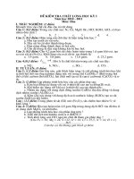 Bài soạn đề hóa 8 kỳ I