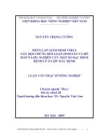 Luận văn phân lập giám định virus gây hội chứng rối loạn sinh sản và hô hấp ở lợn, nghiên cứu một số đặc điểm bệnh lý ở lợn mắc bệnh 