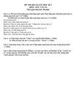 Đề kiểm tra học kì I ( Thi thử)