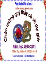 Gián án Bài giảng thi GVDG cấp Tỉnh- TN&XH: Vệ sinh môi trường (t3)