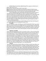 Định hướng cho một doanh nghiệp