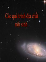 Tài liệu Các quá trình địa chất nội sinh