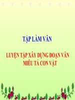 Gián án TLV_Luyện tập xây dựng đoan văn miêu tả con vật