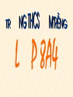 Bài giảng QUY DONG MAU THUC NHIEU PHAN THUC