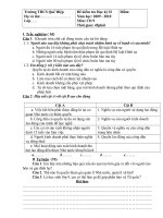 Bài giảng Đề kiểm tra CD HK II 2010
