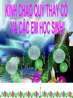 H7-Tiết 29 LUYEN TAP g.c.g