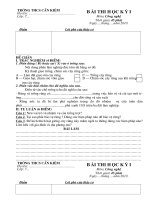 Bài giảng Kiểm tra HKI - CN 7