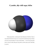 Cyanide, độc chất nguy hiểm