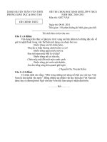 Bài giảng Đề HSG Ngữ Văn 2010-2011