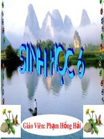 Gián án bai 31 thu tinh ket hat va tao qua