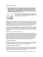 Lãnh đạo từ bên dưới