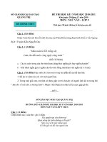 Bài soạn ĐỀ HK I (2010-2011)