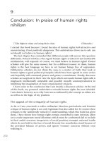 Conclusion - In praise of human rights nihilism