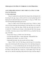 TỔNG QUAN VỀ CÔNG TY TNHH SX VÀ TM VĨNH SÁNG