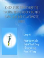 CHIẾN lược THÂM NHẬP THỊ TRƯỜNG TRUNG QUỐC CHO mặt HÀNG GIÀY dép của CÔNG TY BITI’S 