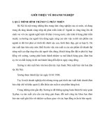 GIỚI THIỆU VỀ DOANH NGHIỆP