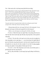 Đề cương ôn thi đường lối