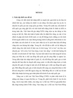 Các giải pháp mobile banking (VND) trong điều kiện hội nhập kinh tế quốc tế