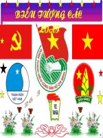 Gián án MỘT SỐ BIỂU TƯỢNG ĐOÀN- ĐỘI