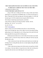 THỰC TRẠNG KIỂM TOÁN BÁO CÁO TÀI CHÍNH CÁC DỰ ÁN DO CÔNG TY KIỂM TOÁN VÀ ĐỊNH GIÁ VIỆT NAM