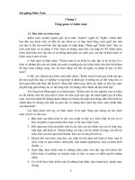 Bài giảng kiểm toán chi tiết