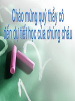 Bài giảng Sự kì diệu của lá cây