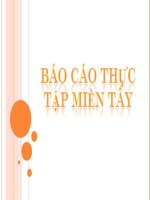 Báo cáo Powerpoint thực tập miền Tây