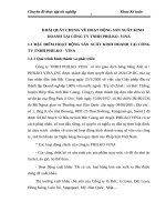 KHÁI QUÁT CHUNG VỀ HOẠT ĐỘNG SẢN XUẤT KINH DOANH TẠI CÔNG TY TNHH PHILKO- VINA