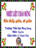 Gián án tuan 20. mua xuan den