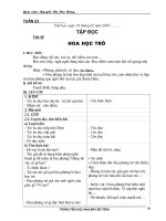 Gián án tuần 23 lớp 4