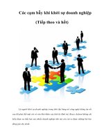 Các cạm bẫy khi khởi sự doanh nghiệp (Tiếp theo và hết)