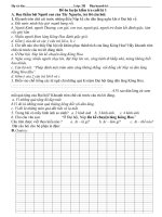 Tài liệu Đề kiểm tra cuối kì 1 - TViệt 3(VA)