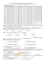 De Khao sat lan 1- K12 2010-2011